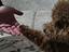 Immagine 3