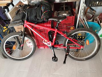 bicicletta 