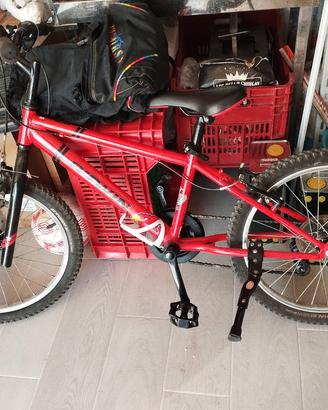 bicicletta 