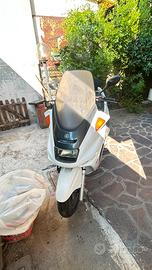 majesty 250