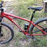 MTB 29