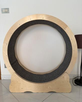 La ruota per Esercizi per Gatti