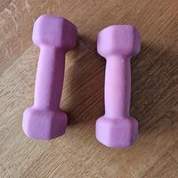 set 2 manubri pesi rovera 1 kg palestra rosa