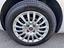 Immagine 9