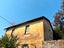 Immagine 7