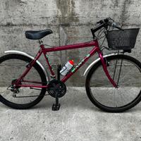 Mountain bike raggio 26