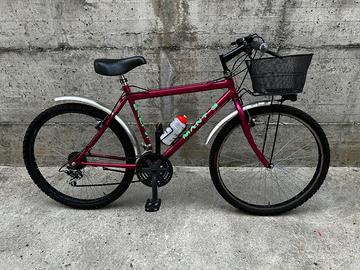 Mountain bike raggio 26