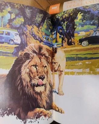 Enciclopedia Nel meraviglioso regno degli animali 