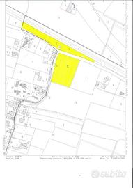 MANDRIA terreno agricolo di ca. 10.000 mq