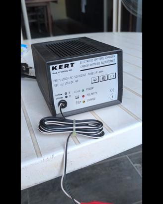 caricabatterie professionale 24v