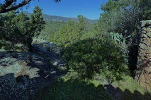 Immobile in asta di 12390 m² a Olbia
