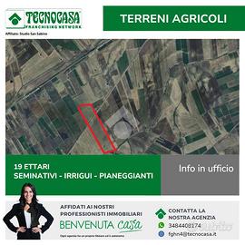 TER. AGRICOLO A TORREMAGGIORE