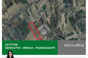 TER. AGRICOLO A TORREMAGGIORE