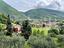 Immagine 1