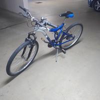 bicicletta