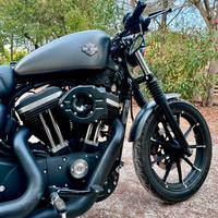 Harley Davidson Sportster 883 Iron