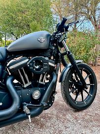 Harley Davidson Sportster 883 Iron