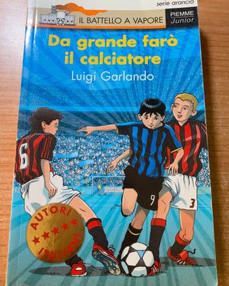 Da grande faró il calciatore di Luigi Garlando