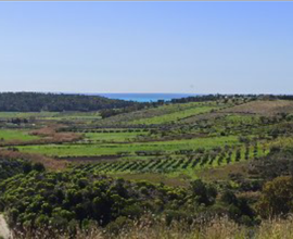 Appezzamento di terreno edificabile vista panoram