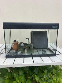 Acquario