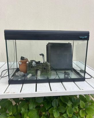 Acquario