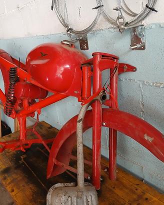Guzzi cardellino