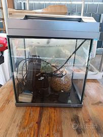 acquario 