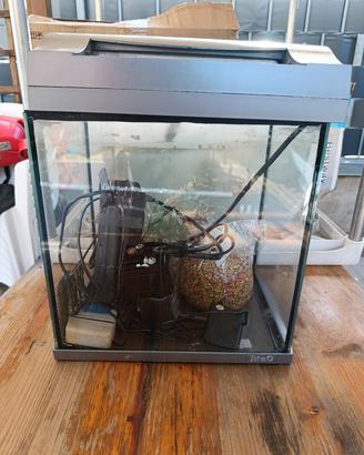 acquario 