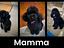 Immagine 6