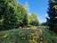 Immagine 29