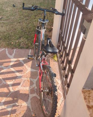 bicicletta bambino 8/10 anni