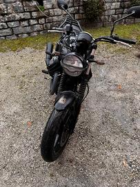 Moto guzzi v7 stone 2021