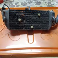 Radiatore completo di ventola per Yamaha XMAX 250 