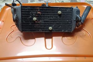 Radiatore completo di ventola per Yamaha XMAX 250 