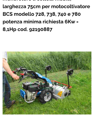 Trincia motocoltivatore BCS Bladerunner 75