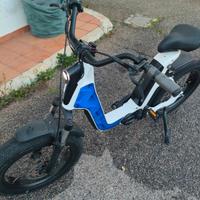 bicicletta issimmo fantic 