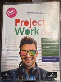 Project Work 1