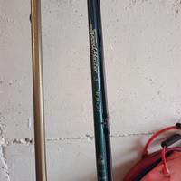 canna trota lago daiwa 