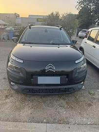 C4 cactus