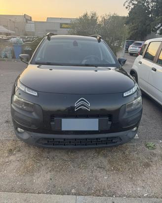 C4 cactus