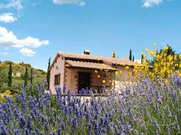 Cottage indipendente nella campagna Toscana