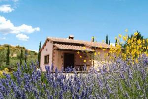 Cottage indipendente nella campagna Toscana