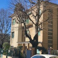 Ampio trilocale con corte esclusiva e quattro balc