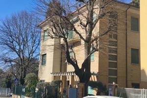 Ampio trilocale con corte esclusiva e quattro balc