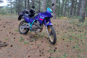 Honda dominator nx650