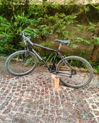 Bicicletta Mountain bike 