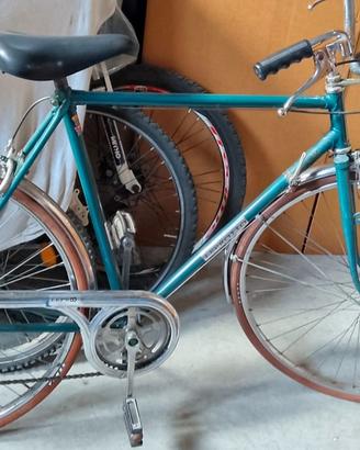 bicicletta da uomo leprotto
