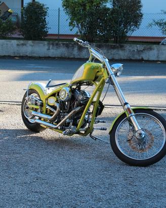 Buell Thunderstorm Chopper esemplare unico 