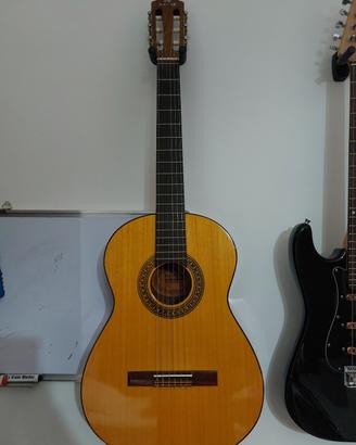 chitarra 
