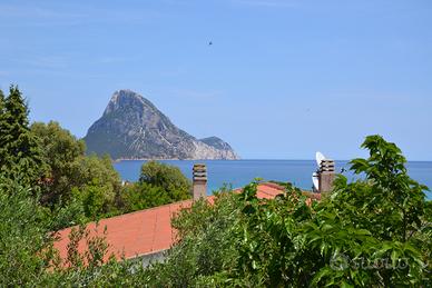 Last minute 1-14 agosto - Porto Taverna